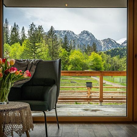 Bialy Mis Apartamenty Art & Design Zakopane Exteriör bild